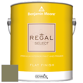 Benjamin Moore 547 Regal Select Waterborne Interior Flat Finish краска цвет NCS S 5020-G70Y 