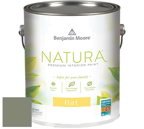 Benjamin Moore 512 Natura Interior Flat Finish матовая краска цвет NCS S 5010-G50Y 