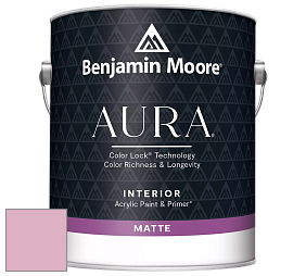 Benjamin Moore Aura 522 Interior Paint - Matte краска цвет 2081-50 Pink Ruffle