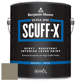 Benjamin Moore 485 Ultra Spec SCUFF-X Interior Eggshell Finish краска цвет NCS S 5010-G90Y 