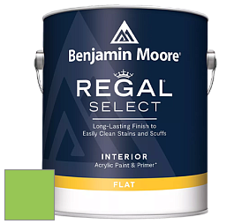 Benjamin Moore 547 Regal Select Waterborne Interior Flat Finish краска цвет NCS S 0570-G30Y 