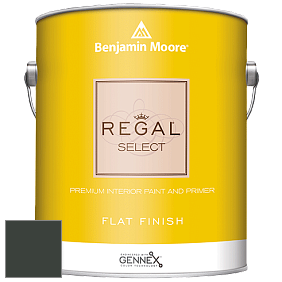 Benjamin Moore 547 Regal Select Waterborne Interior Flat Finish краска цвет NCS S 8505-G 
