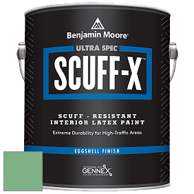 Benjamin Moore 485 Ultra Spec SCUFF-X Interior Eggshell Finish краска цвет NCS S 2040-G10Y 