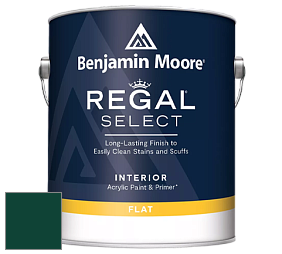 Benjamin Moore 547 Regal Select Waterborne Interior Flat Finish краска цвет RAL 6005 