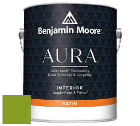 Benjamin Moore Aura 526 Waterborne Interior Satin Finish покрытие цвет 2028-10 Iguana Green
