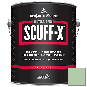Краска Ultra Spec SCUFF-X Interior Satin Finish (486) цвет 563 Douglas Fern