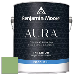 Benjamin Moore Aura 524 Waterborne Interior Eggshell Finish краска цвет NCS S 2040-G30Y 
