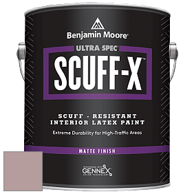 Benjamin Moore 484 Ultra Spec SCUFF-X Interior Matte Finish краска цвет NCS S 3010-R 