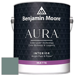 Benjamin Moore Aura 522 Interior Paint - Matte краска цвет NCS S 5010-B70G 