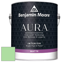 Benjamin Moore Aura 522 Interior Paint - Matte краска цвет NCS S 0540-G20Y 
