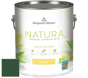 Benjamin Moore 512 Natura Interior Flat Finish матовая краска цвет NCS S 6530-G10Y 