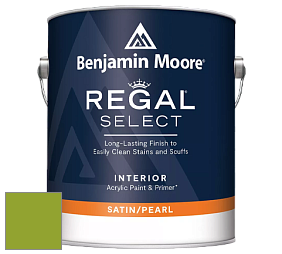 Benjamin Moore 550 Regal Select Waterborne Interior Pearl Finish краска цвет 2028-20 Douglas Fir