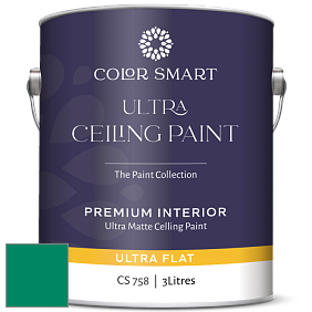 COLOR SMART CS 758 ULTRA CEILING PAINT ультраматовая краска цвет NCS S 3060-B90G 