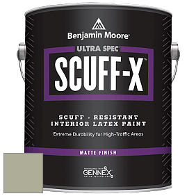 Benjamin Moore 484 Ultra Spec SCUFF-X Interior Matte Finish краска цвет NCS S 3010-G60Y 
