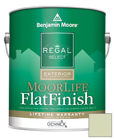 Краска Regal Select Exterior Paint-MoorLife Flat Finish (W105) цвет 535 Soothing Green