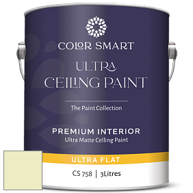 COLOR SMART CS 758 ULTRA CEILING PAINT ультраматовая краска цвет 2028-60 Celadon Green