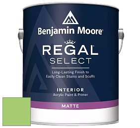 Benjamin Moore 548 IRegal Select Interior Paint - Matte краска цвет 2030-40 Spring Leaf