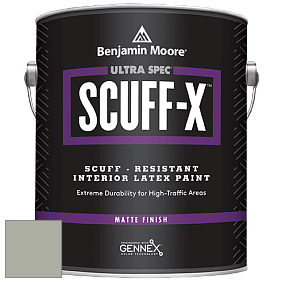 Benjamin Moore 484 Ultra Spec SCUFF-X Interior Matte Finish краска цвет NCS S 3005-G50Y 