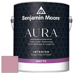 Benjamin Moore Aura 522 Interior Paint - Matte краска цвет NCS S 2030-R20B 