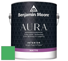 Benjamin Moore Aura 522 Interior Paint - Matte краска цвет NCS S 1070-G10Y 