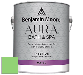 Benjamin Moore Aura 532 Bath & Spa Waterborne Interior Paint Matte Finish краска цвет NCS S 0560-G20Y 