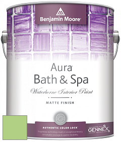 Benjamin Moore Aura 532 Bath & Spa Waterborne Interior Paint Matte Finish краска цвет 557 Leprechaun Green
