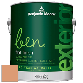 Benjamin Moore Ben 541 Waterborne Exterior Flat Finish краска цвет 110 Starfish