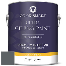 COLOR SMART CS 758 ULTRA CEILING PAINT ультраматовая краска цвет AF-560 