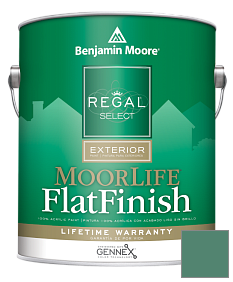 Краска Regal Select Exterior Paint-MoorLife Flat Finish (W105) цвет 2041-30 Green Gables