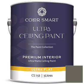 Краска COLOR SMART CS 758 ULTRA CEILING PAINT ультраматовая краска цвет 1498 Forest Floor