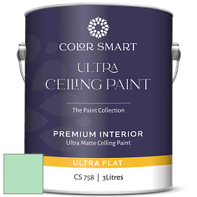 COLOR SMART CS 758 ULTRA CEILING PAINT ультраматовая краска цвет NCS S 0530-G 