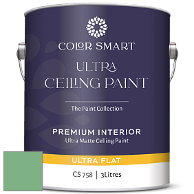COLOR SMART CS 758 ULTRA CEILING PAINT ультраматовая краска цвет NCS S 2040-G10Y 