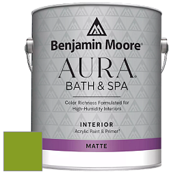 Benjamin Moore Aura 532 Bath & Spa Waterborne Interior Paint Matte Finish краска цвет 2028-10 Iguana Green