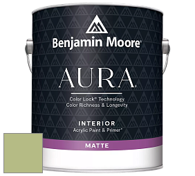 Benjamin Moore Aura 522 Interior Paint - Matte краска цвет NCS S 2030-G50Y 