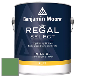Benjamin Moore 547 Regal Select Waterborne Interior Flat Finish краска цвет NCS S 3050-G20Y 