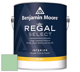 Benjamin Moore 547 Regal Select Waterborne Interior Flat Finish краска цвет NCS S 1030-G10Y 