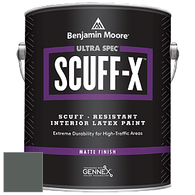 Benjamin Moore 484 Ultra Spec SCUFF-X Interior Matte Finish краска цвет NCS S 7005-G 