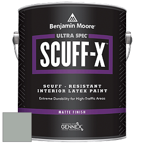 Benjamin Moore 484 Ultra Spec SCUFF-X Interior Matte Finish краска цвет NCS S 3005-G 