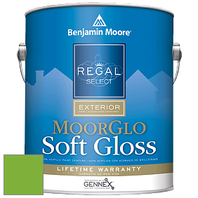 Benjamin Moore W096 Regal Select Exterior Paint-Moor GloSoft Gloss Finish краска цвет 2030-30 Lucky Charm Green