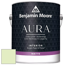 Benjamin Moore Aura 522 Interior Paint - Matte краска цвет 2031-60 Neon Celery