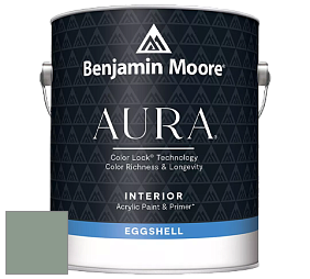 Benjamin Moore Aura 524 Waterborne Interior Eggshell Finish краска цвет NCS S 4010-G10Y 