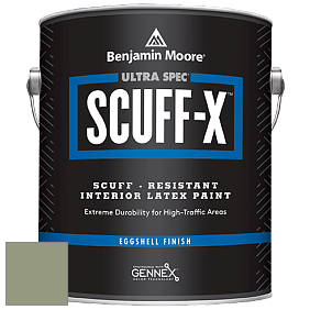 Benjamin Moore 485 Ultra Spec SCUFF-X Interior Eggshell Finish краска цвет HC-123 BM HC-123