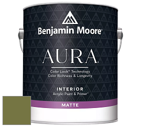 Benjamin Moore Aura 522 Interior Paint - Matte краска цвет 2145-10 Avocado