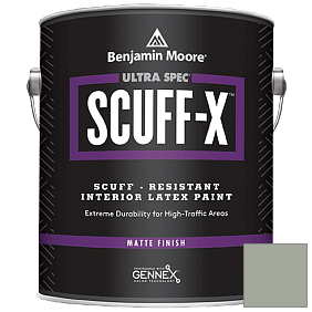 Краска Ultra Spec SCUFF-X Interior Matte Finish (484) цвет AF-470 