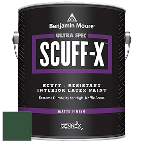 Benjamin Moore 484 Ultra Spec SCUFF-X Interior Matte Finish краска цвет NCS S 6530-G10Y 