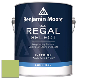 Benjamin Moore 549 Regal Select Waterborne Interior Eggshell Finish краска цвет 2029-40 Stem Green