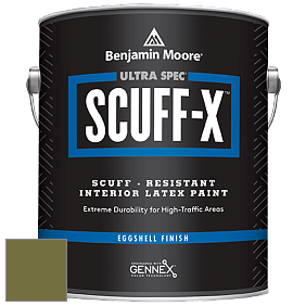 Benjamin Moore 485 Ultra Spec SCUFF-X Interior Eggshell Finish краска цвет NCS S 5040-G60Y 