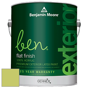 Benjamin Moore Ben 541 Waterborne Exterior Flat Finish краска цвет 2028-40 Pear Green