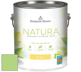 Benjamin Moore 512 Natura Interior Flat Finish матовая краска цвет NCS S 0550-G30Y 
