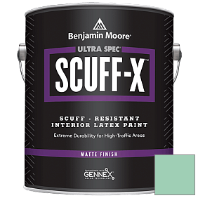 Краска Ultra Spec SCUFF-X Interior Matte Finish (484) цвет 585 Lady Liberty